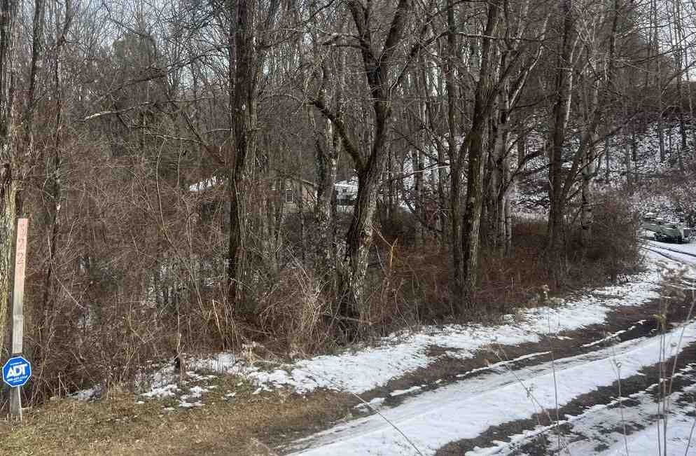 Willow Br, Shady Spring, WV 25918 #1