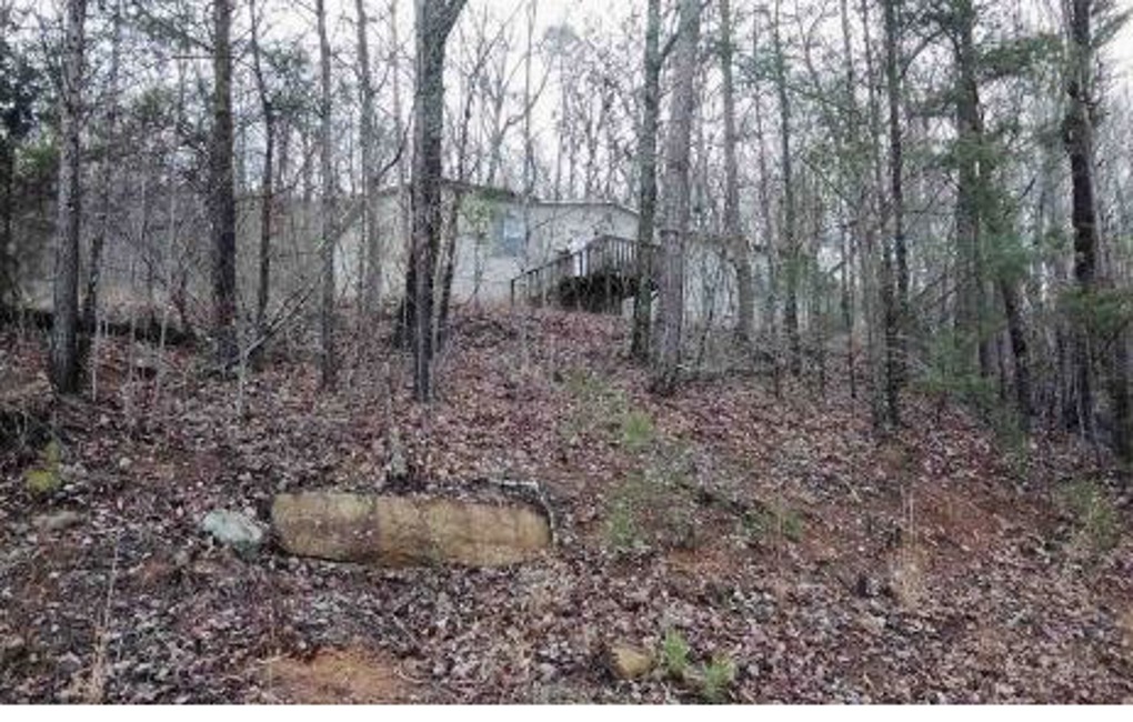 2nd Chance Foreclosure - Reported Vacant, 1520 Sussex Rd, Dayton, TN 37321