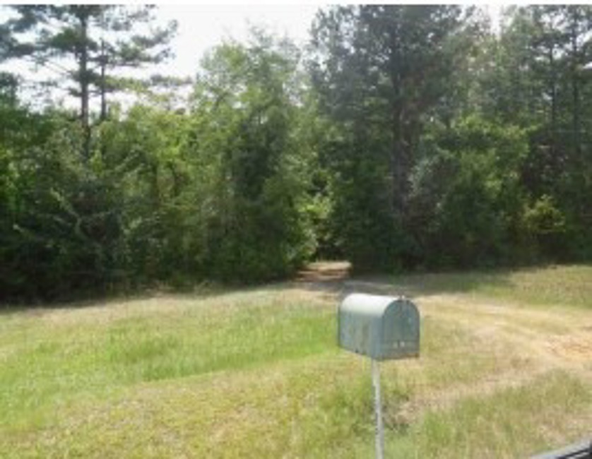 2nd Chance Foreclosure - Reported Vacant, 1605 Holloway Ray Rd, Mc Intyre, GA 31054