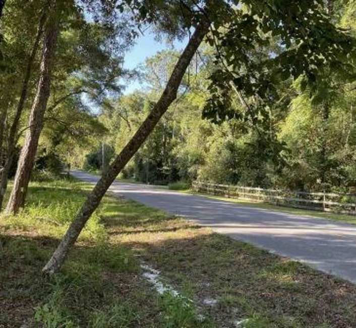 2nd Chance Foreclosure - Reported Vacant, 53 Beechwood Dr, Crawfordville, FL 32327