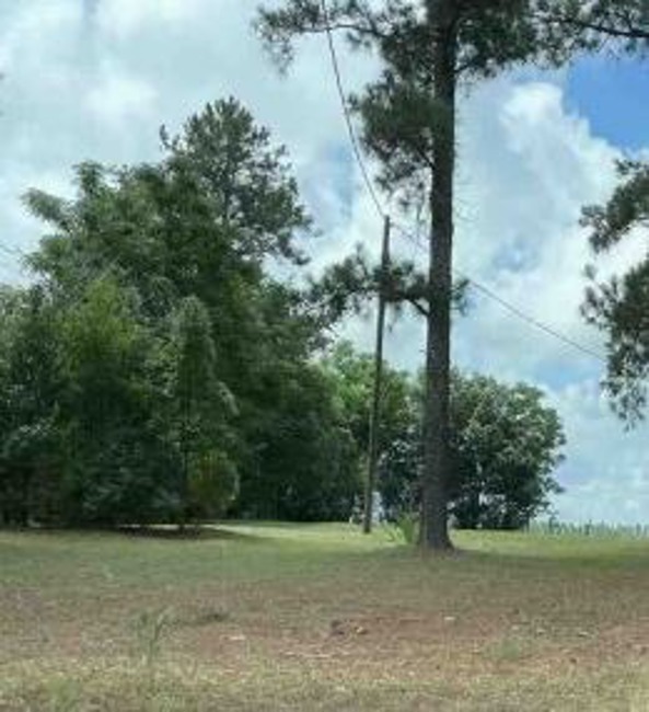 2nd Chance Foreclosure, 384 Red Oak Rd, Tifton, GA 31793
