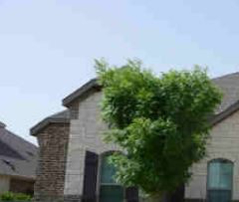 2nd Chance Foreclosure, 532  Harvest Grove Dr, Waxahachie, TX 75165